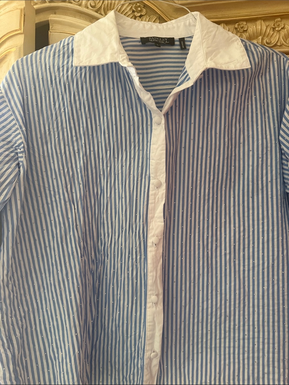 Badgley Mischka Blue & White Striped Button-Down Shirt